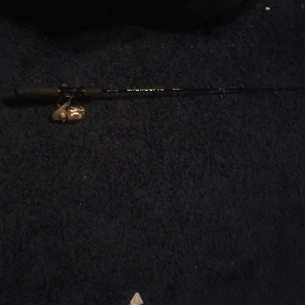 crappie pole